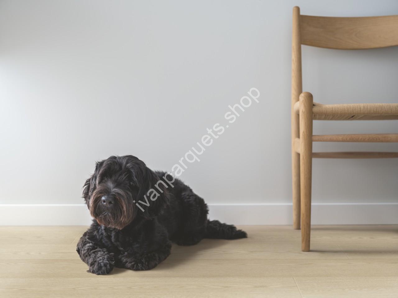 rovere sabbia del nord nordic sand oak arendal sensation pergo rovere sabbia del nord nordic sand oak arendal sensation pergo