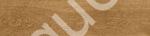 trasparente premium business original parquet