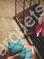 namsen pro rovere della foresta greige forest oak vinile vinyl pergo v4307 40218 v4207 40218