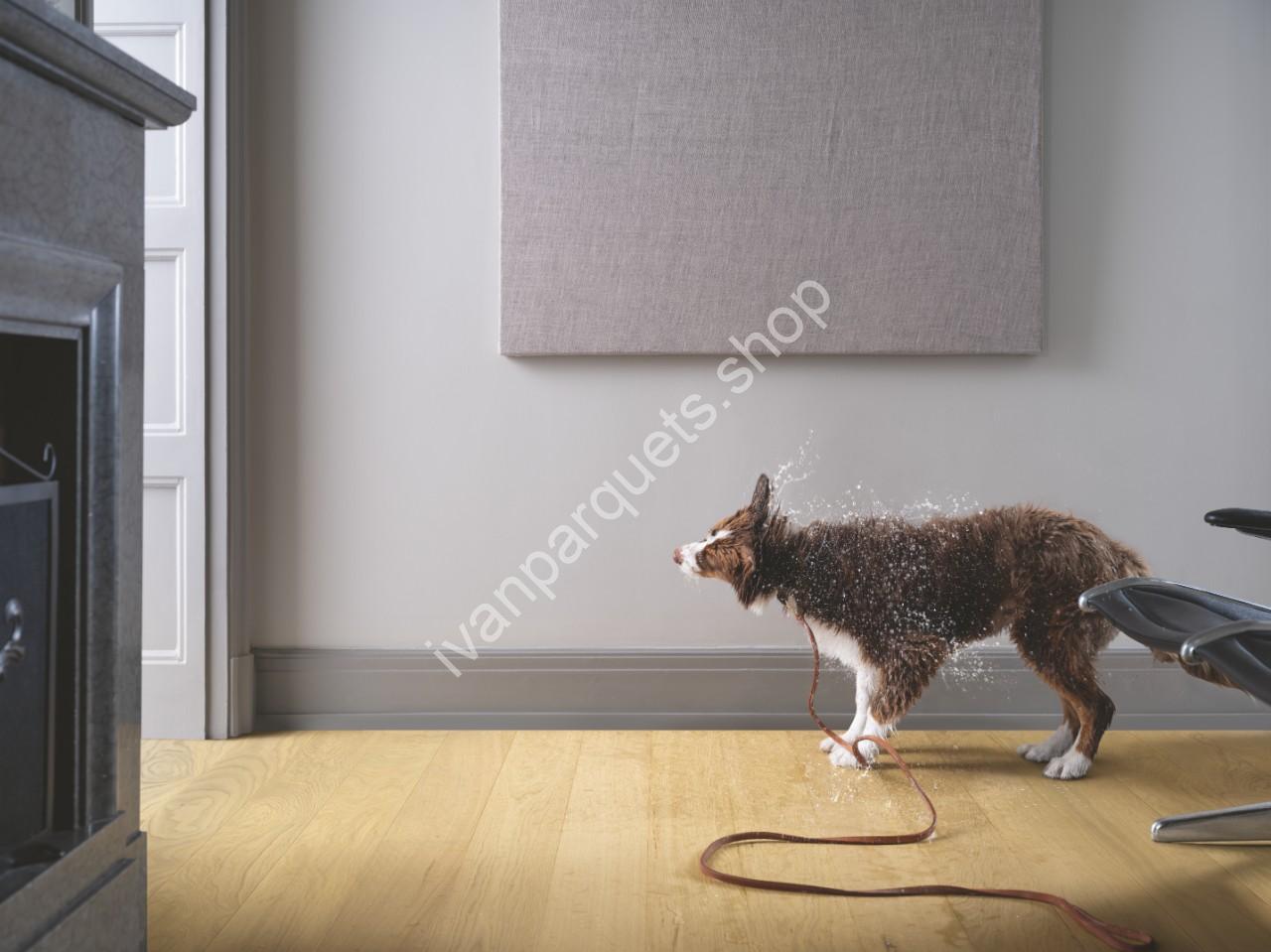 rovere puro light pure oak falster pergo w1214 05125 3 rovere puro light pure oak falster pergo w1214 05125 3